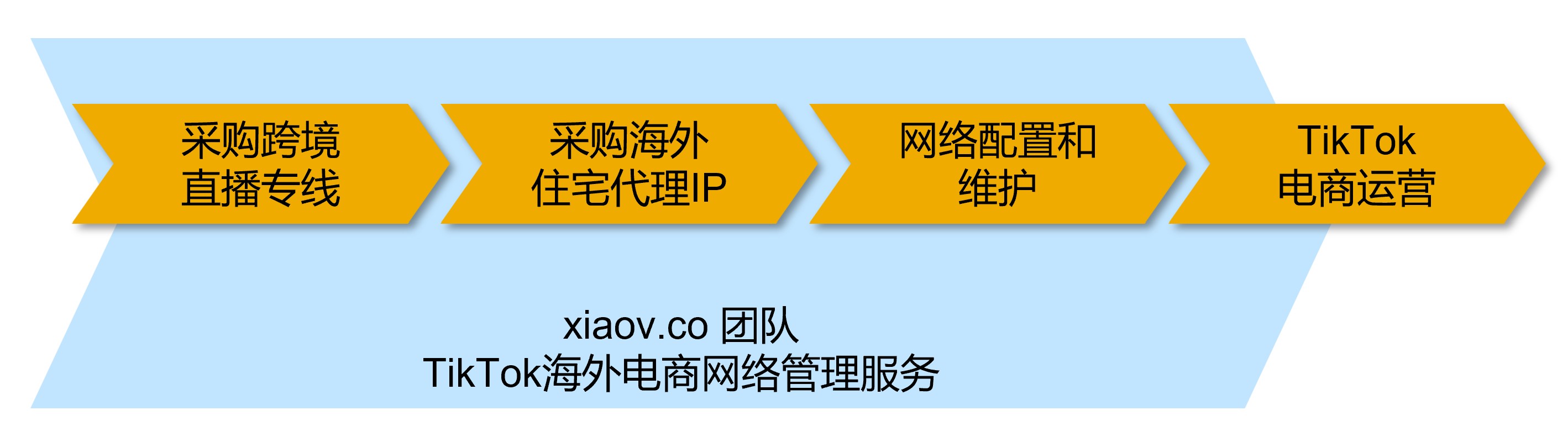 TikTok海外代理IP配置业务流程图 - 一站式解决方案
