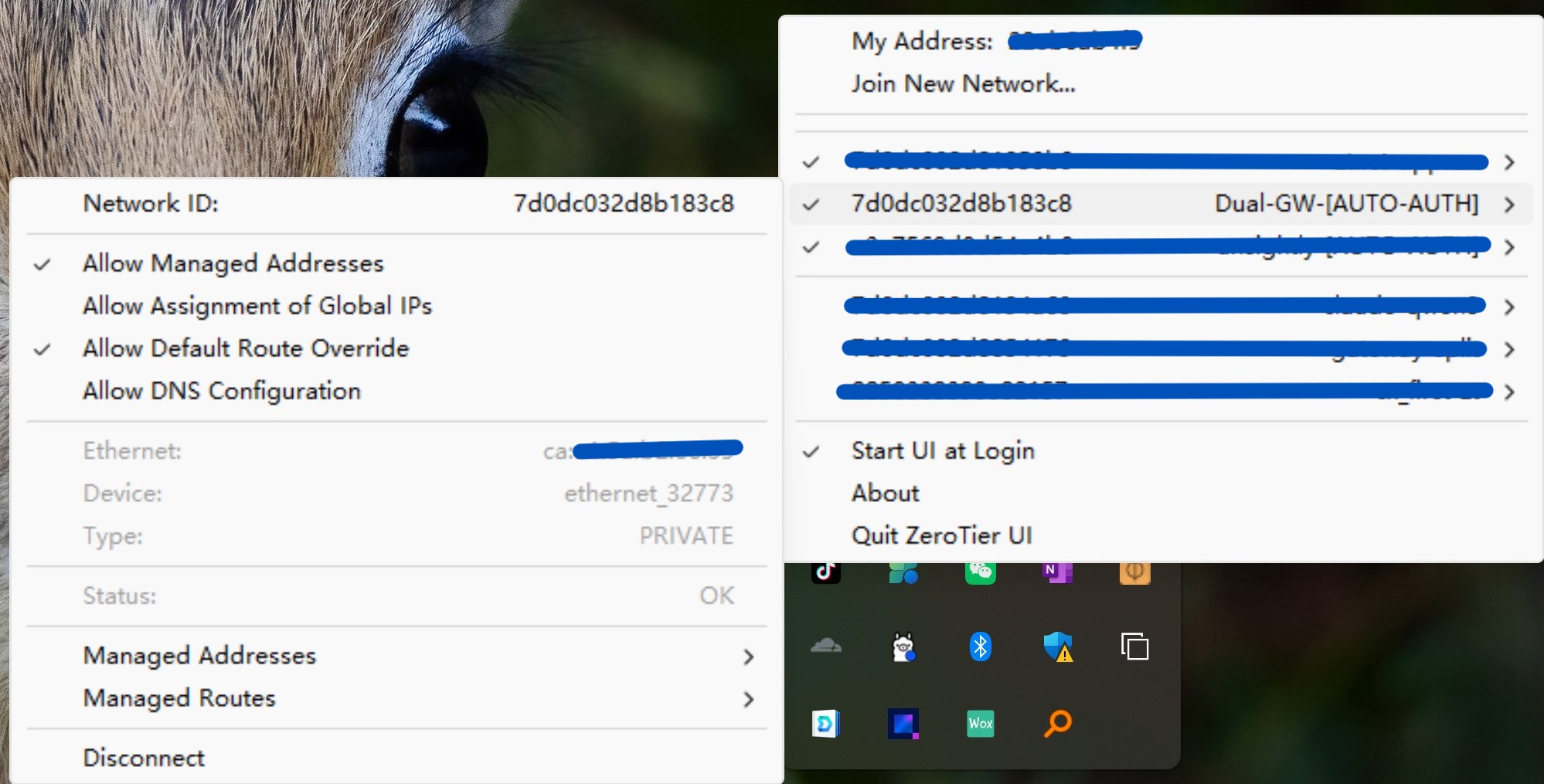 ZeroTier UI